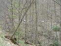 DSCN3035